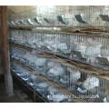 Galvanized rabbit farming cage/new rabbit cage equipment